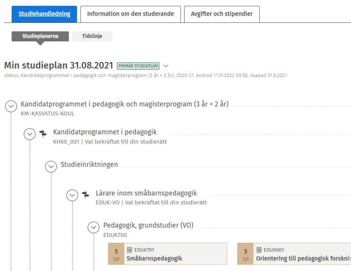 Skärmdump av studentens studieplan.