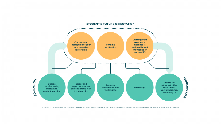 When a student orientates towards their own future, they process their skills, their career readinessess, their experience of being or becoming an expert, their evolving identity as well as their knowledge and experiences of the world of work. Many experiences on their educational and vocational path affect these thought processes, eg. degree requirements, the curriculum, teaching, working life and expertise courses, psp supervision, different projects and other forms of cooperation with the world of work, internships and other study-related activities, such as participating in student organizations or mentoring programs.