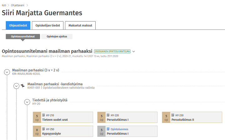 Kuvakaappaus Sisun käyttöliittymästä.