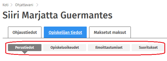 Kuvakaappaus Sisun käyttöliittymästä.
