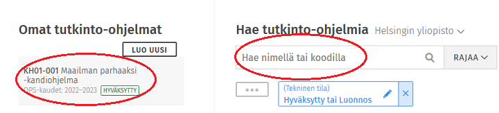 Kuvakaappaus Sisun käyttöliittymästä.