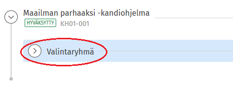 Kuvakaappaus Sisun käyttöliittymästä.