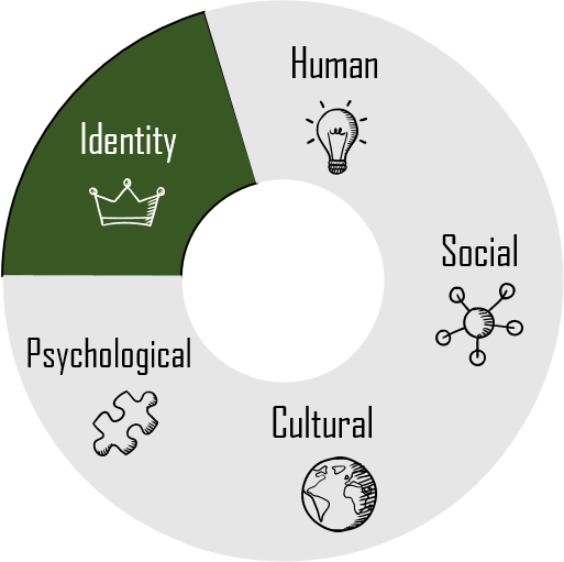 Graduate Capital -mallikuva, identiteettipääoma korostettuna.