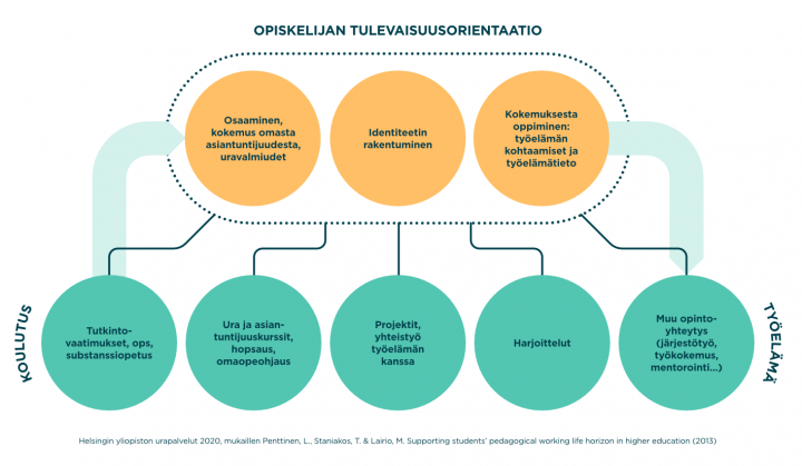 Kun opiskelija orientoituu kohti omaa tulevaisuuttaan, hän prosessoi niin omaa osaamistaan, uravalmiuksiaan ja kokemusta omasta asiantuntijuudestaan, rakentuvaa identiteettiään kuin omia tietojaan ja kokemuksiaan työelämästä. Näihin tulevaisuuspohdintoihin vaikuttavat monenlaiset kokemukset opintopolulla ja työelämässä, kuten tutkintovaatimukset, opetussuunnitelma ja substanssiopetus, ura- ja asiantuntijuuskurssit, HOPS-ohjaus ja omaopettajaohjaus, projektit ja muu yhteistyö työelämän kanssa, harjoittelu ja muu opintoihin liittyvä toiminta, kuten järjestötyö tai mentorointi.
