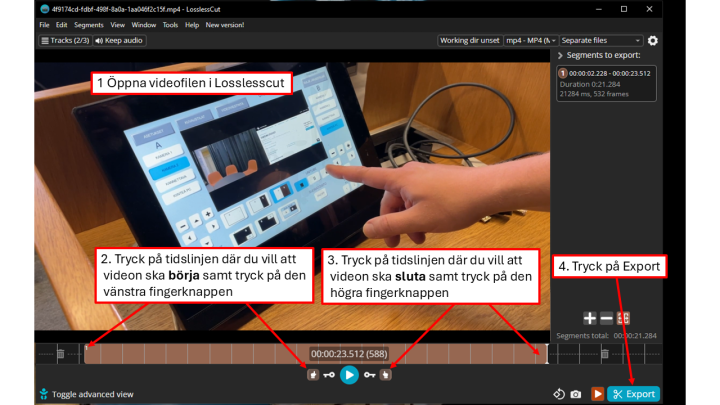 Bild från LosslessCut redigerarens vy