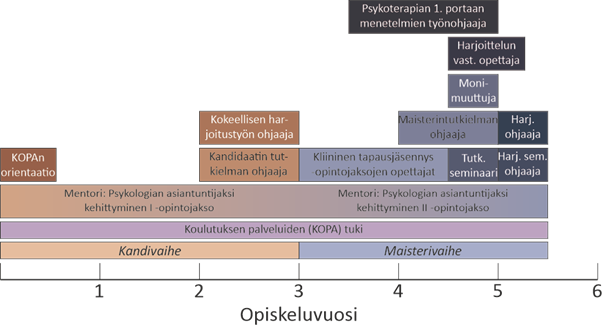 Kuva 1. Psykologian kandi- ja maisteriohjelma: Opiskelijoiden ohjaus opintojen eri vaiheissa.